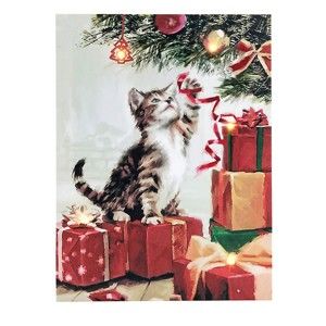 Blancheporte Svítící obrázek kočka kočka