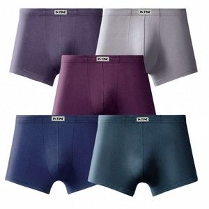 Blancheporte Sada 5 jednobarevných boxerek s pružným pasem švest,indigo,lila,modrá,šedá 117/124 (3XL)