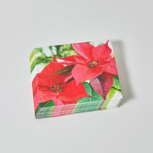 Blancheporte Sada 20 papírových ubrousků s motivem vánoční hvězdy červená 20 ks